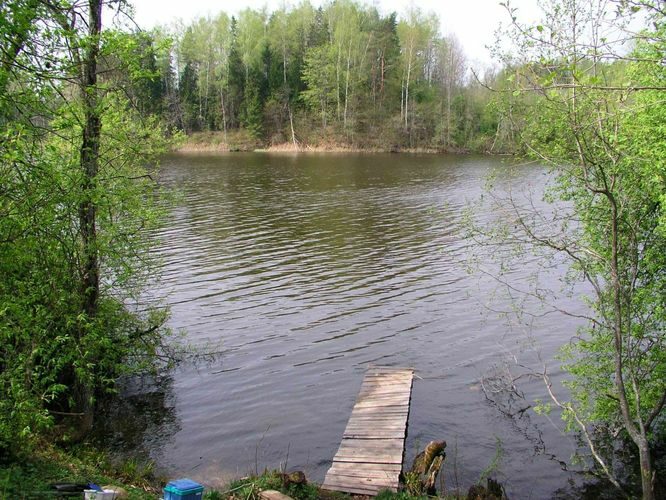 Maakond: Valgamaa Veekogu nimi: Mõrtsuka järv Pildistamise aeg: 5. mai 2004 Pildistaja: H. Timm Pildistamise koht: teadmata Asimuut: