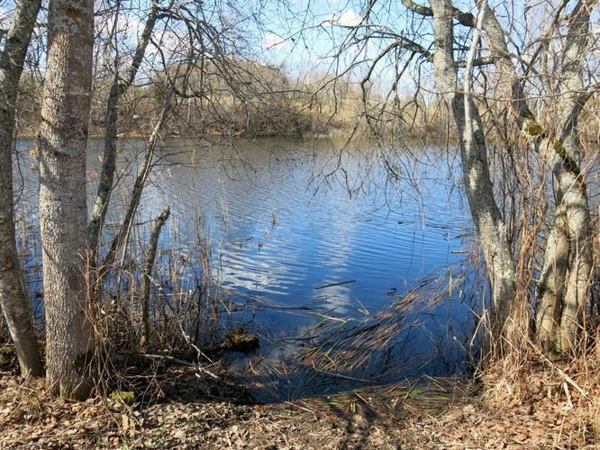 Maakond: Valgamaa Veekogu nimi: Mõrtsuka järv Pildistamise aeg: 1. mai 2013 Pildistaja: H. Timm Pildistamise koht: teadmata Asimuut: