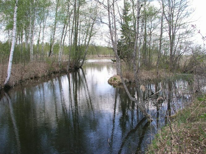 Maakond: Tartumaa Veekogu nimi: Mudajõgi Pildistamise aeg: 11. mai 2006 Pildistaja: H. Timm Pildistamise koht: väljub Saadjärvest Asimuut: