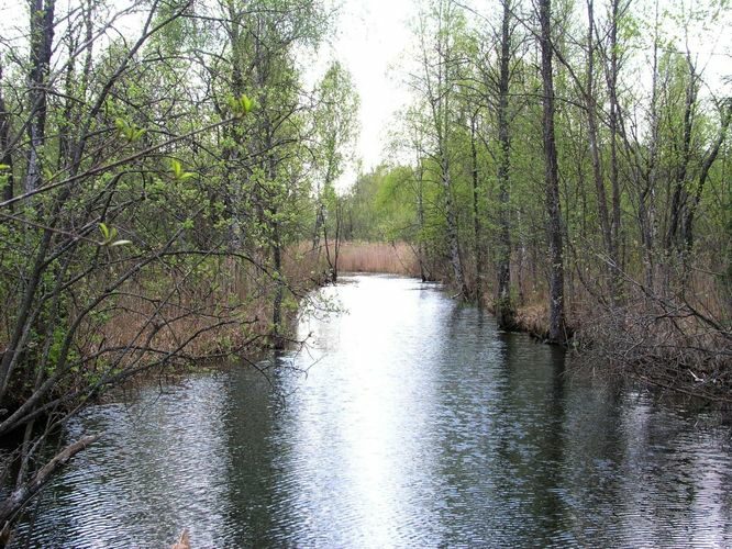 Maakond: Tartumaa Veekogu nimi: Mudajõgi Pildistamise aeg: 11. mai 2006 Pildistaja: H. Timm Pildistamise koht: väljub Saadjärvest Asimuut: