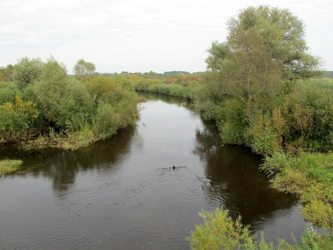 Maakond: Valgamaa Veekogu nimi: Mustjõgi Pildistamise aeg: 13. september 2010 Pildistaja: H. Timm Pildistamise koht: Tsirgumäe Asimuut: