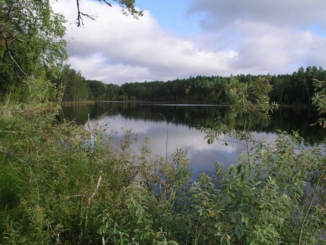 Maakond: Valgamaa Veekogu nimi: Nauska järv Pildistamise aeg: 29. august 2004 Pildistaja: H. Timm Pildistamise koht: teadmata Asimuut: