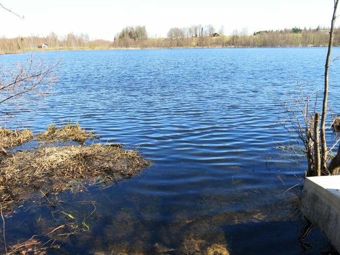 Maakond: Valgamaa Veekogu nimi: Neitsijärv Pildistamise aeg: 6. mai 2013 Pildistaja: H. Timm Pildistamise koht: teadmata Asimuut: