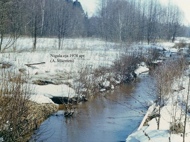 Maakond: Valgamaa Veekogu nimi: Nigula oja Pildistamise aeg: 1978 Pildistaja: A. Mäemets Pildistamise koht: teadmata Asimuut: