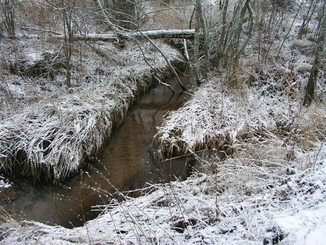 Maakond: Tartumaa Veekogu nimi: Nigula oja Pildistamise aeg: 20. november 2005 Pildistaja: H. Timm Pildistamise koht: teadmata Asimuut: