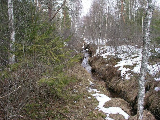 Maakond: Tartumaa Veekogu nimi: Nigula oja Pildistamise aeg: 2. aprill 2006 Pildistaja: H. Timm Pildistamise koht: enne Maarja teed Asimuut: