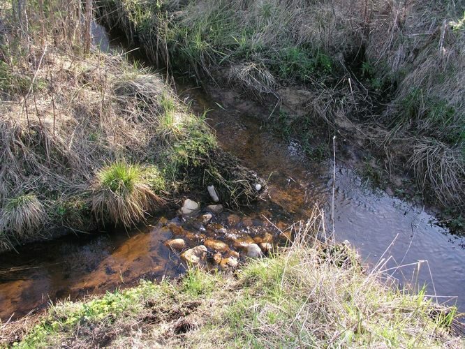 Maakond: Tartumaa Veekogu nimi: Nigula oja Pildistamise aeg: 6. mai 2007 Pildistaja: H. Timm Pildistamise koht: teadmata Asimuut: