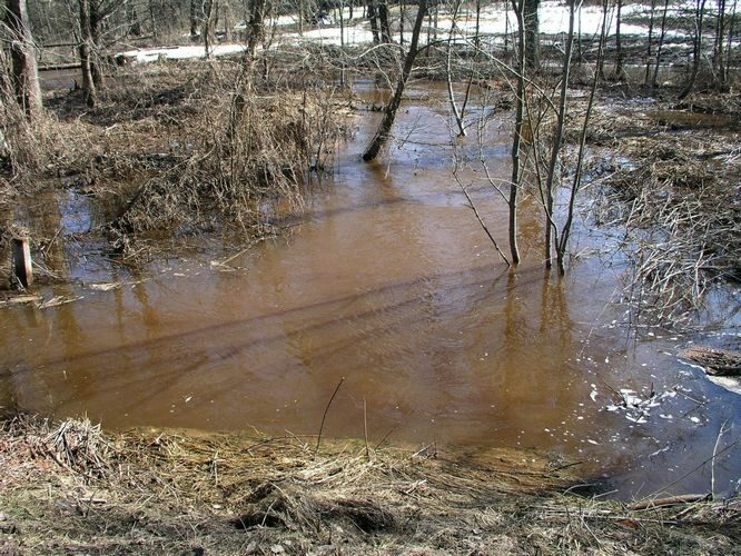 Maakond: Tartumaa Veekogu nimi: Nigula oja Pildistamise aeg: 5. aprill 2009 Pildistaja: H. Timm Pildistamise koht: Rannu tee Asimuut: