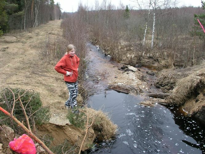 Maakond: Tartumaa Veekogu nimi: Nigula oja Pildistamise aeg: 12. aprill 2009 Pildistaja: H. Timm Pildistamise koht: Maarja tee truup Asimuut: