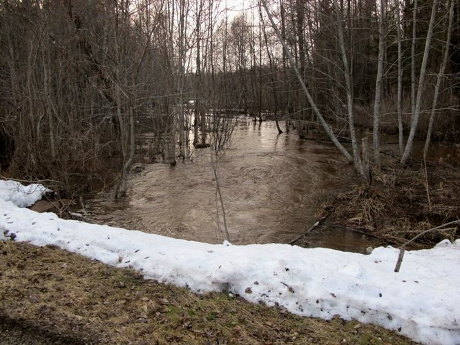 Maakond: Tartumaa Veekogu nimi: Nigula oja Pildistamise aeg: 30. märts 2010 Pildistaja: H. Timm Pildistamise koht: Rannu - Vehendi sild Asimuut: