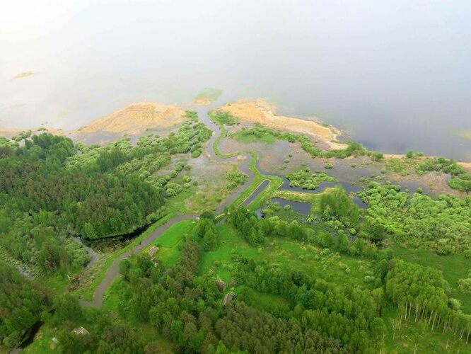 Maakond: Tartumaa Veekogu nimi: Nigula oja Pildistamise aeg: 29. mai 2013 Pildistaja: H. Timm Pildistamise koht: aerofoto Asimuut: