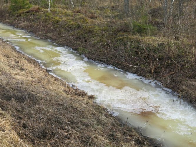 Maakond: Tartumaa Veekogu nimi: Nigula oja Pildistamise aeg: 24. veebruar 2014 Pildistaja: H. Timm Pildistamise koht: Maarja tee Asimuut: