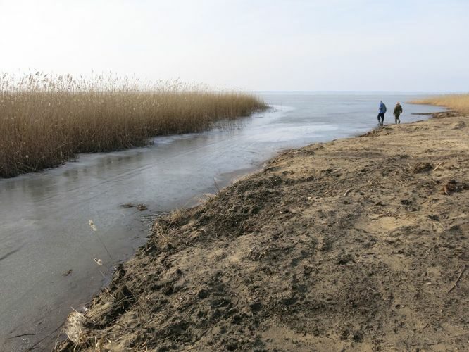 Maakond: Tartumaa Veekogu nimi: Nigula oja Pildistamise aeg: 24. veebruar 2014 Pildistaja: H. Timm Pildistamise koht: suue Asimuut: