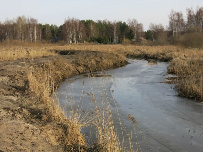 Maakond: Tartumaa Veekogu nimi: Nigula oja Pildistamise aeg: 24. veebruar 2014 Pildistaja: H. Timm Pildistamise koht: suue Asimuut: