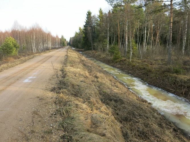 Maakond: Tartumaa Veekogu nimi: Nigula oja Pildistamise aeg: 24. veebruar 2014 Pildistaja: H. Timm Pildistamise koht: Maarja tee Asimuut: