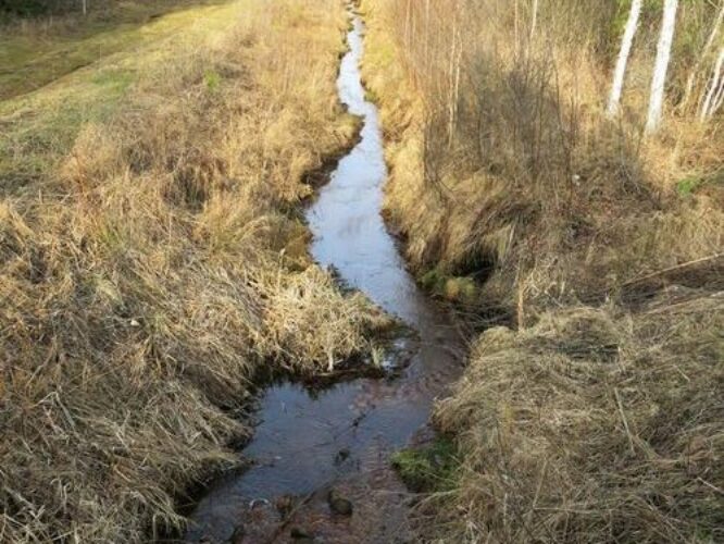 Maakond: Tartumaa Veekogu nimi: Nigula oja Pildistamise aeg: 24. veebruar 2014 Pildistaja: H. Timm Pildistamise koht: Maarja tee Asimuut: