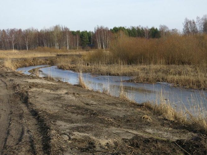 Maakond: Tartumaa Veekogu nimi: Nigula oja Pildistamise aeg: 24. veebruar 2014 Pildistaja: H. Timm Pildistamise koht: suue Asimuut: