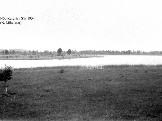 Maakond: Tartumaa Veekogu nimi: Nõo Karujärv Pildistamise aeg: 1954 Pildistaja: N. Mikelsaar Pildistamise koht: W otsast Asimuut: NE