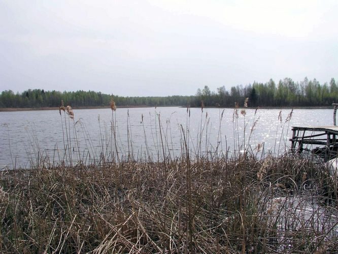 Maakond: Tartumaa Veekogu nimi: Nõo Suur Karujärv Pildistamise aeg: 5. mai 2004 Pildistaja: H. Timm Pildistamise koht: teadmata Asimuut: