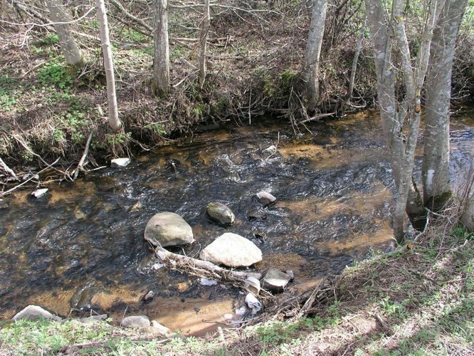 Maakond: Tartumaa Veekogu nimi: Nõo oja Pildistamise aeg: 19. aprill 2007 Pildistaja: H. Timm Pildistamise koht: allpool Valga mnt. vana silda Asimuut: