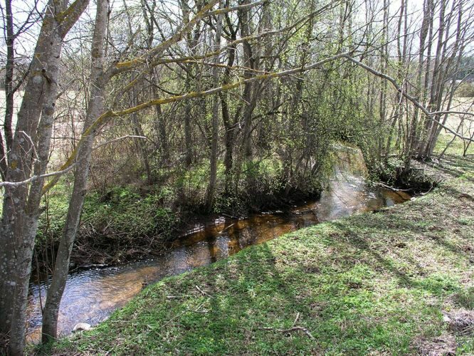 Maakond: Tartumaa Veekogu nimi: Nõo oja Pildistamise aeg: 19. aprill 2007 Pildistaja: H. Timm Pildistamise koht: allpool Valga mnt. vana silda Asimuut: