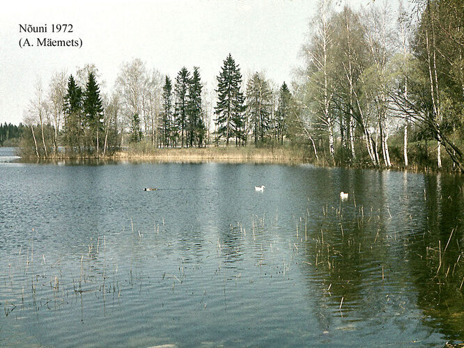 Maakond: Valgamaa Veekogu nimi: Nõuni järv Pildistamise aeg: 1972 Pildistaja: A. Mäemets Pildistamise koht: E kalda poolsaarelt Asimuut: N