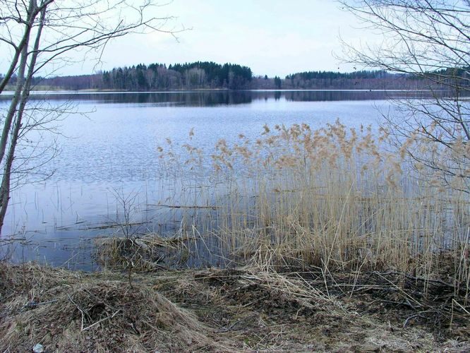 Maakond: Valgamaa Veekogu nimi: Nõuni järv Pildistamise aeg: 24. aprill 2005 Pildistaja: H. Timm Pildistamise koht: teadmata Asimuut: