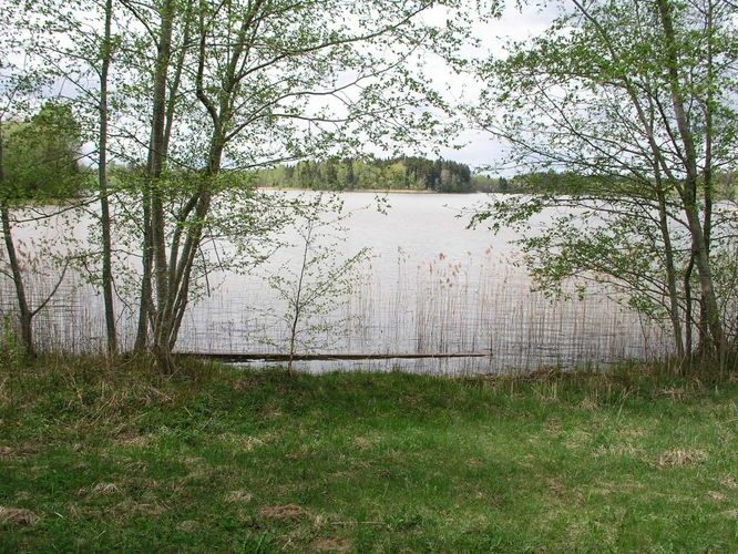 Maakond: Valgamaa Veekogu nimi: Nõuni järv Pildistamise aeg: 7. mai 2008 Pildistaja: H. Timm Pildistamise koht: teadmata Asimuut: