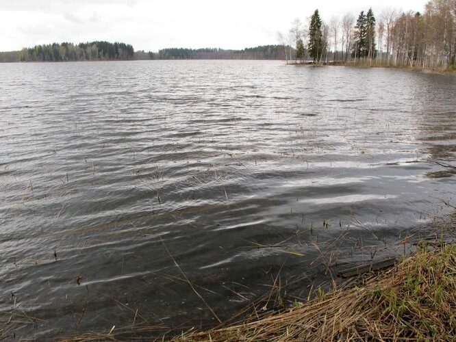 Maakond: Valgamaa Veekogu nimi: Nõuni järv Pildistamise aeg: 4. mai 2011 Pildistaja: H. Timm Pildistamise koht: teadmata Asimuut: