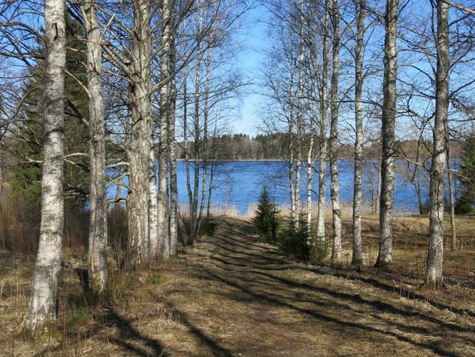 Maakond: Valgamaa Veekogu nimi: Nõuni järv Pildistamise aeg: 1. mai 2013 Pildistaja: H. Timm Pildistamise koht: teadmata Asimuut: