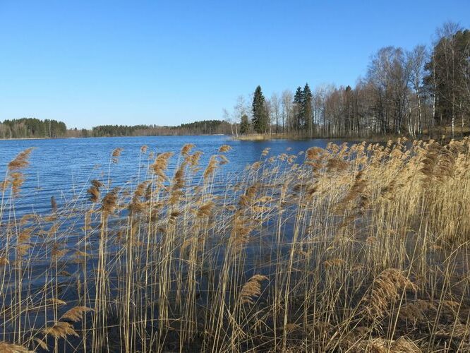 Maakond: Valgamaa Veekogu nimi: Nõuni järv Pildistamise aeg: 1. mai 2013 Pildistaja: H. Timm Pildistamise koht: teadmata Asimuut: