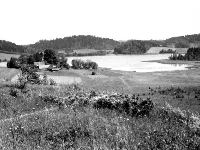 Maakond: Valgamaa Veekogu nimi: Nüpli järv Pildistamise aeg: teadmata Pildistaja: N. Mikelsaar Pildistamise koht: SW kaldalt, K Asimuut: E