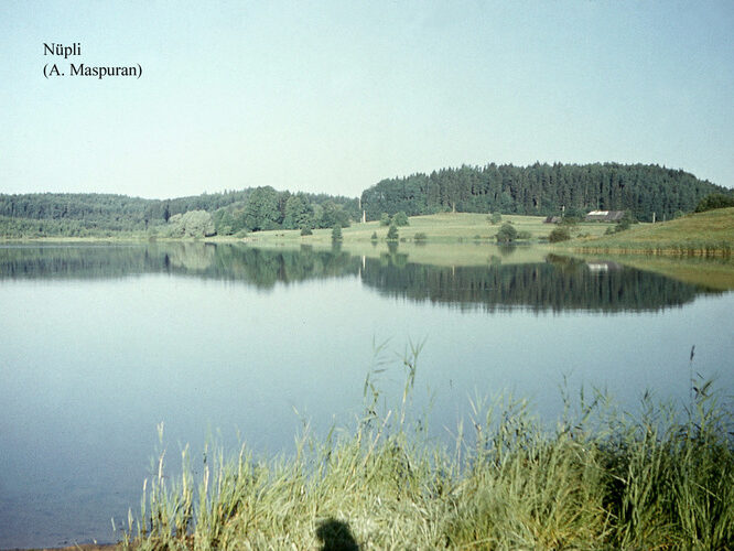 Maakond: Valgamaa Veekogu nimi: Nüpli järv Pildistamise aeg: teadmata Pildistaja: A. Maspuran Pildistamise koht: teadmata Asimuut: