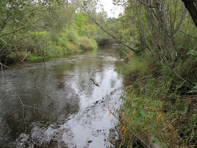 Maakond: Tartumaa Veekogu nimi: Õhne jõgi Pildistamise aeg: 25. september 2012 Pildistaja: H. Timm Pildistamise koht: Härma Asimuut: