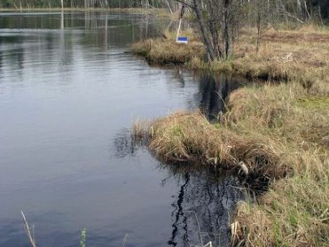 Maakond: Valgamaa Veekogu nimi: Päästjärv Pildistamise aeg: 5. mai 2004 Pildistaja: H. Timm Pildistamise koht: teadmata Asimuut: