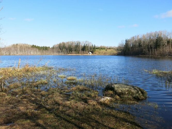 Maakond: Valgamaa Veekogu nimi: Päästjärv Pildistamise aeg: 6. mai 2013 Pildistaja: H. Timm Pildistamise koht: teadmata Asimuut: