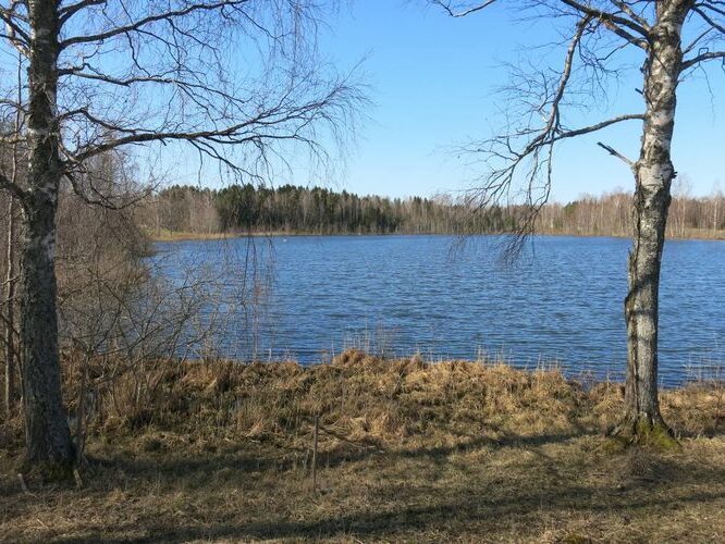 Maakond: Valgamaa Veekogu nimi: Päidla Ahvenjärv Pildistamise aeg: 1. mai 2013 Pildistaja: H. Timm Pildistamise koht: teadmata Asimuut: