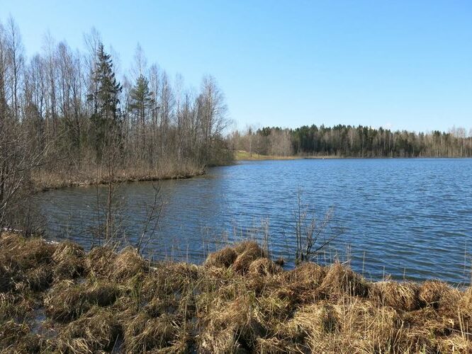 Maakond: Valgamaa Veekogu nimi: Päidla Ahvenjärv Pildistamise aeg: 1. mai 2013 Pildistaja: H. Timm Pildistamise koht: teadmata Asimuut: