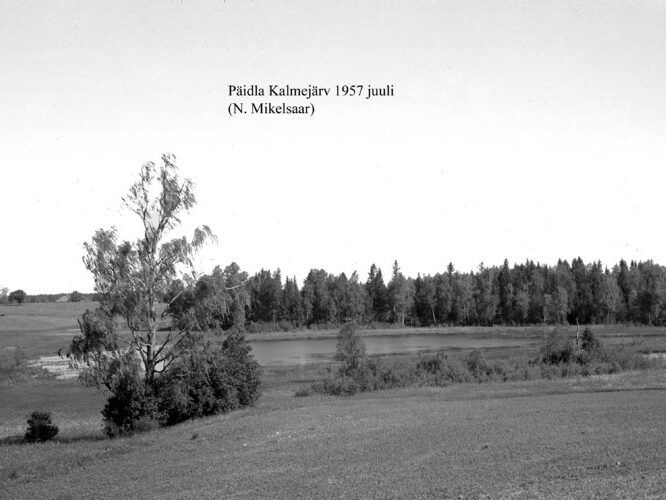 Maakond: Valgamaa Veekogu nimi: Päidla Kalmejärv Pildistamise aeg: juuli 1957 Pildistaja: N. Mikelsaar Pildistamise koht: teadmata Asimuut: