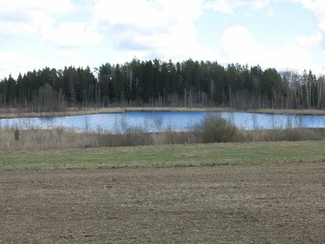 Maakond: Valgamaa Veekogu nimi: Päidla Kalmejärv Pildistamise aeg: 2. mai 2013 Pildistaja: H. Timm Pildistamise koht: teadmata Asimuut: