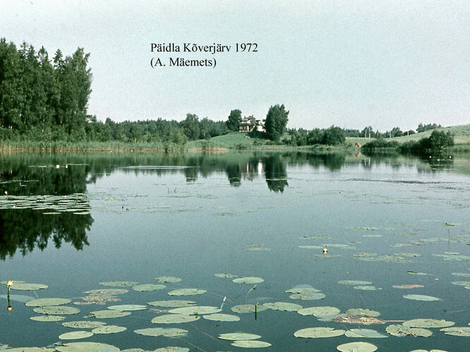 Maakond: Valgamaa Veekogu nimi: Päidla Kõverjärv Pildistamise aeg: 1972 Pildistaja: A. Mäemets Pildistamise koht: teadmata Asimuut: