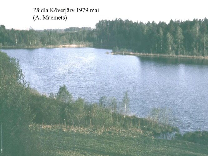 Maakond: Valgamaa Veekogu nimi: Päidla Kõverjärv Pildistamise aeg: mai 1979 Pildistaja: A. Mäemets Pildistamise koht: teadmata Asimuut: