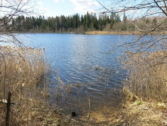 Maakond: Valgamaa Veekogu nimi: Päidla Kõverjärv Pildistamise aeg: 1. mai 2013 Pildistaja: H. Timm Pildistamise koht: teadmata Asimuut: