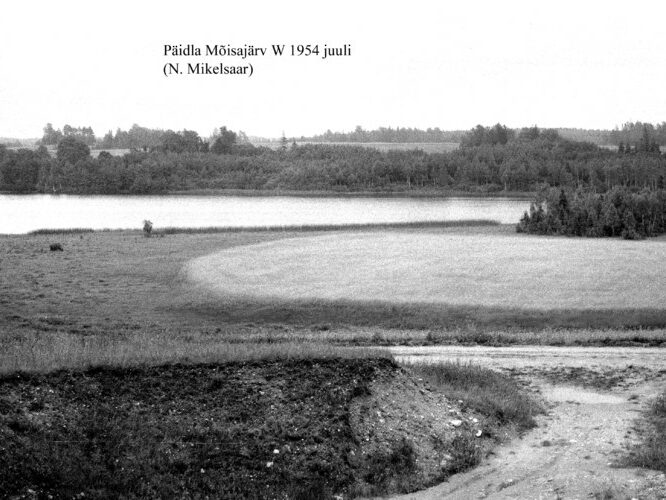 Maakond: Valgamaa Veekogu nimi: Päidla Mõisajärv Pildistamise aeg: juuli 1954 Pildistaja: N. Mikelsaar Pildistamise koht: WSW kaldalt Asimuut: E