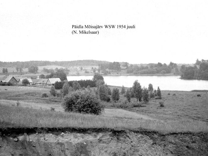 Maakond: Valgamaa Veekogu nimi: Päidla Mõisajärv Pildistamise aeg: juuli 1954 Pildistaja: N. Mikelsaar Pildistamise koht: WSW kaldalt Asimuut: NE