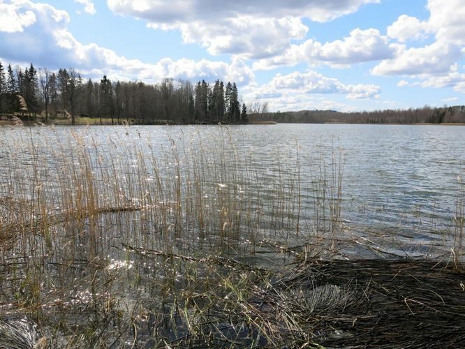 Maakond: Valgamaa Veekogu nimi: Päidla Mõisajärv Pildistamise aeg: 2. mai 2013 Pildistaja: H. Timm Pildistamise koht: teadmata Asimuut: