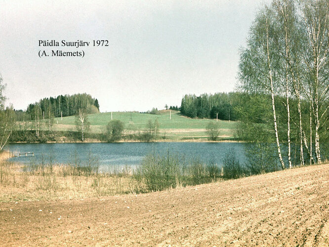 Maakond: Valgamaa Veekogu nimi: Päidla Suurjärv Pildistamise aeg: 1972 Pildistaja: A. Mäemets Pildistamise koht: teadmata Asimuut: