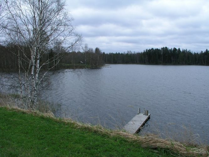 Maakond: Valgamaa Veekogu nimi: Päidla Suurjärv Pildistamise aeg: 11. mai 2005 Pildistaja: H. Timm Pildistamise koht: teadmata Asimuut: