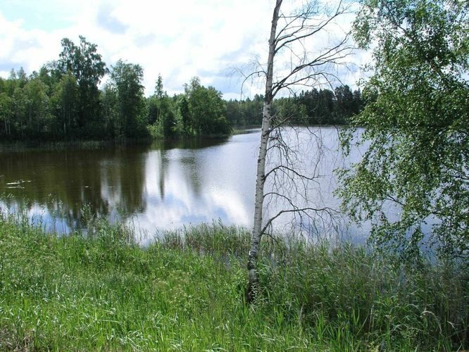 Maakond: Valgamaa Veekogu nimi: Päidla Suurjärv Pildistamise aeg: 11. mai 2005 Pildistaja: H. Timm Pildistamise koht: teadmata Asimuut: