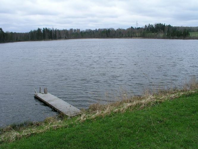 Maakond: Valgamaa Veekogu nimi: Päidla Suurjärv Pildistamise aeg: 11. mai 2005 Pildistaja: H. Timm Pildistamise koht: teadmata Asimuut: